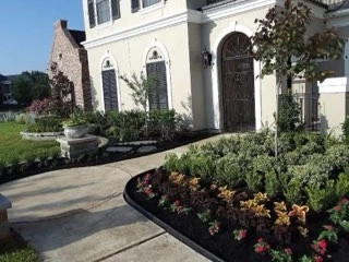 Landscape Design